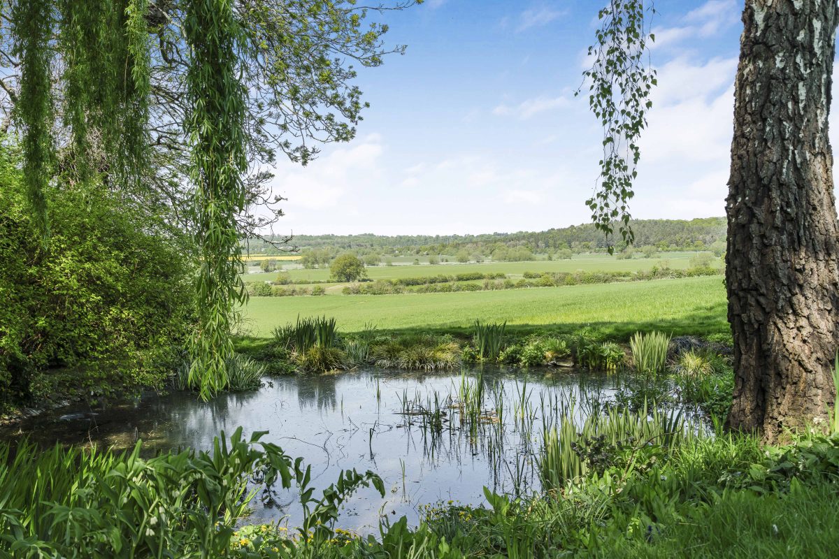 A pond fringed with reeds and willows in the grounds of Purwell Farmhouse, with fields beyond