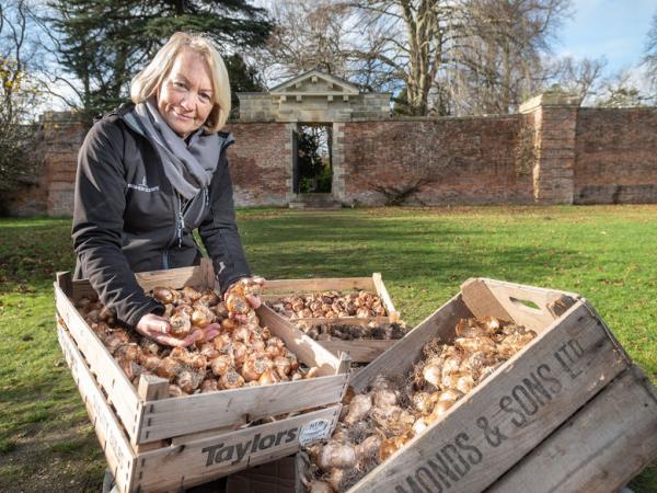 Brightening up the community with nearly 2,000 spring bulbs