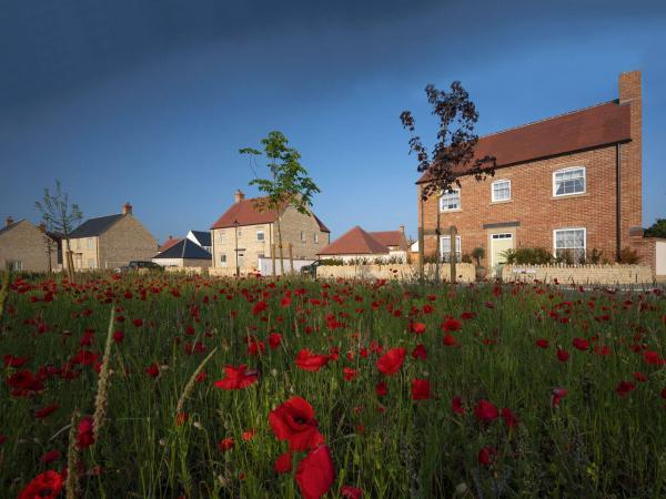 New homes at Park View