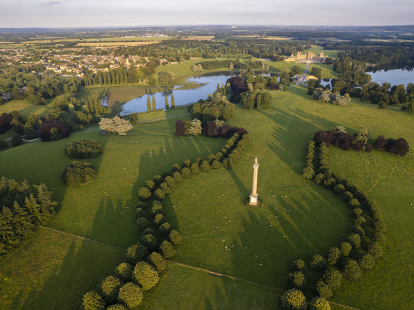 Blenheim Estate partners with Rappa Fencing to transform its sheep farming practices