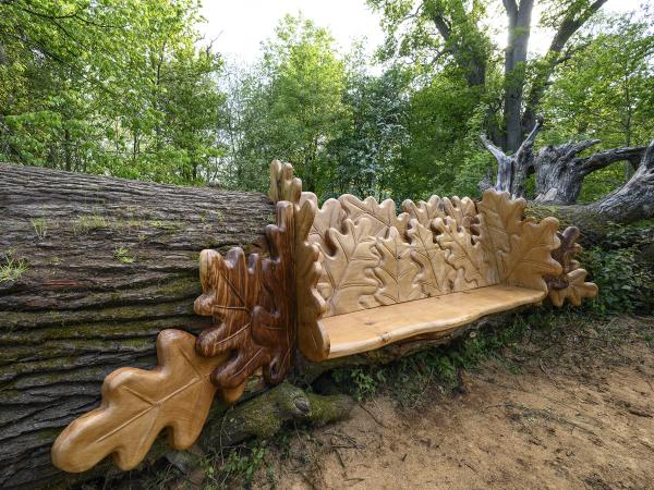 Chainsaw Champion Carves Stunning Seat From Fallen Oak