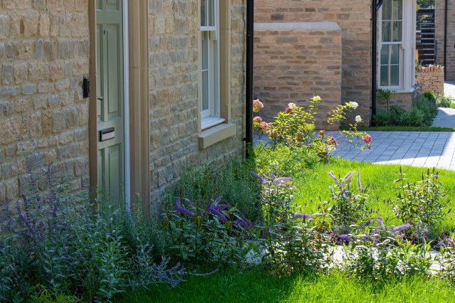 A planted front garden with roses and catmint beside a stone house at Park View