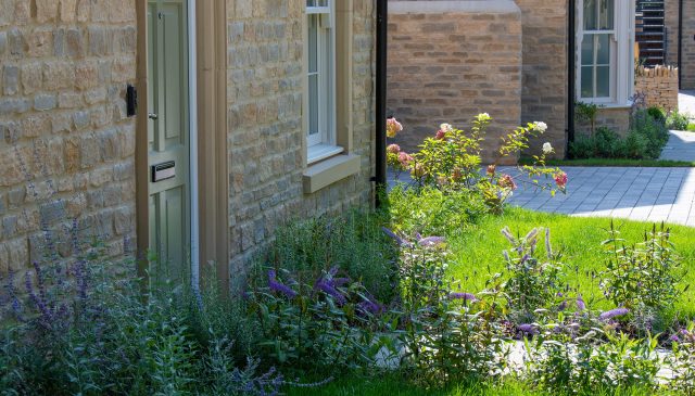 A planted front garden with roses and catmint beside a stone house at Park View