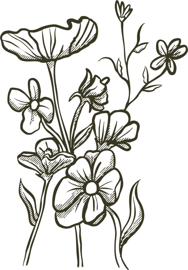 Line drawing of a bunch of wild flowers
