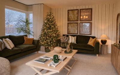 Christmas Savings Terms and Conditions