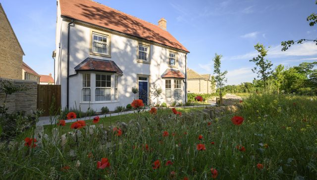 A white rendered home with bay windows behind a meadow of poppies at Park View