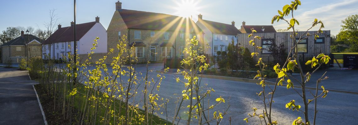 Low sun over a new street at Park View, with young trees and a lamp post in front of stone houses