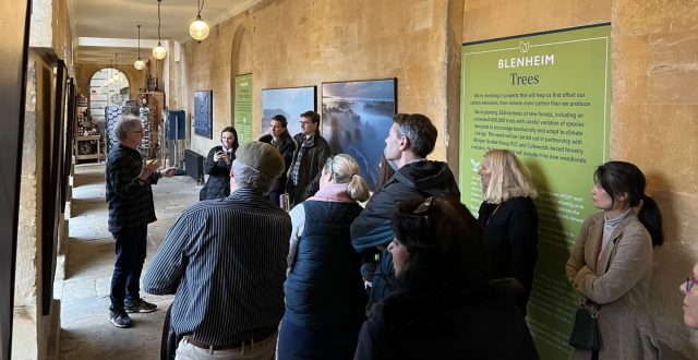 A group listening to a talk in a Blenheim Palace corridor beside a display about the Estate's trees
