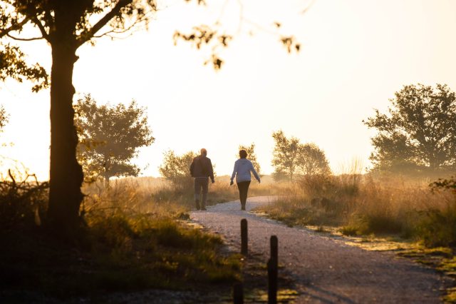 Two people walking along a gravel path through long grass and trees in golden evening light