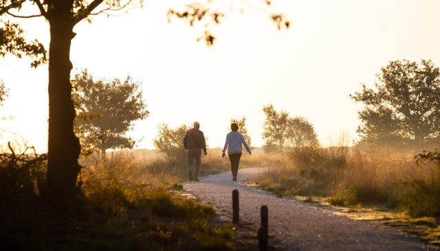 Two people walking along a gravel path through long grass and trees in golden evening light