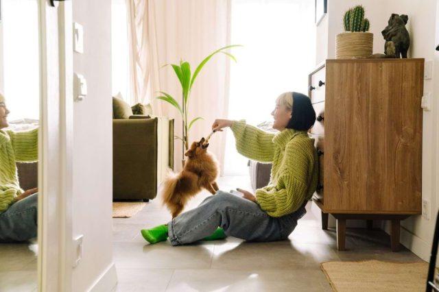 A woman sitting on the floor of a bright living room, playing with a small fluffy dog