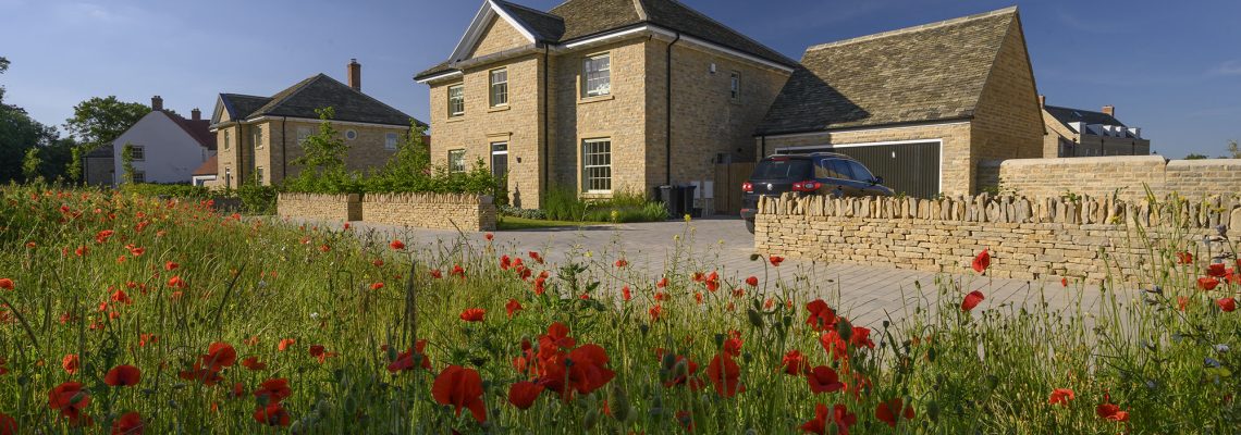 Detached stone houses at Park View seen across a field of red poppies