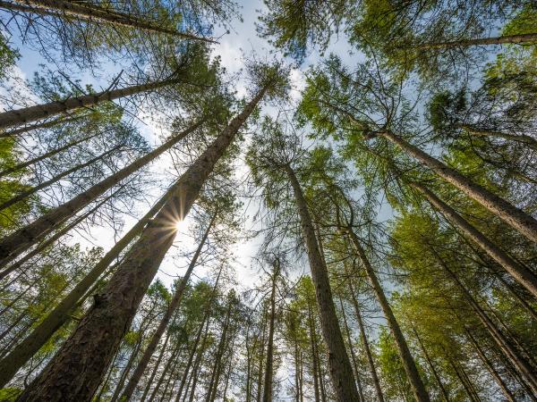 Taking responsibility for our planet